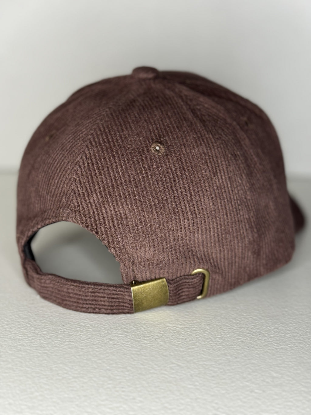 Corduroy 3D brown hat