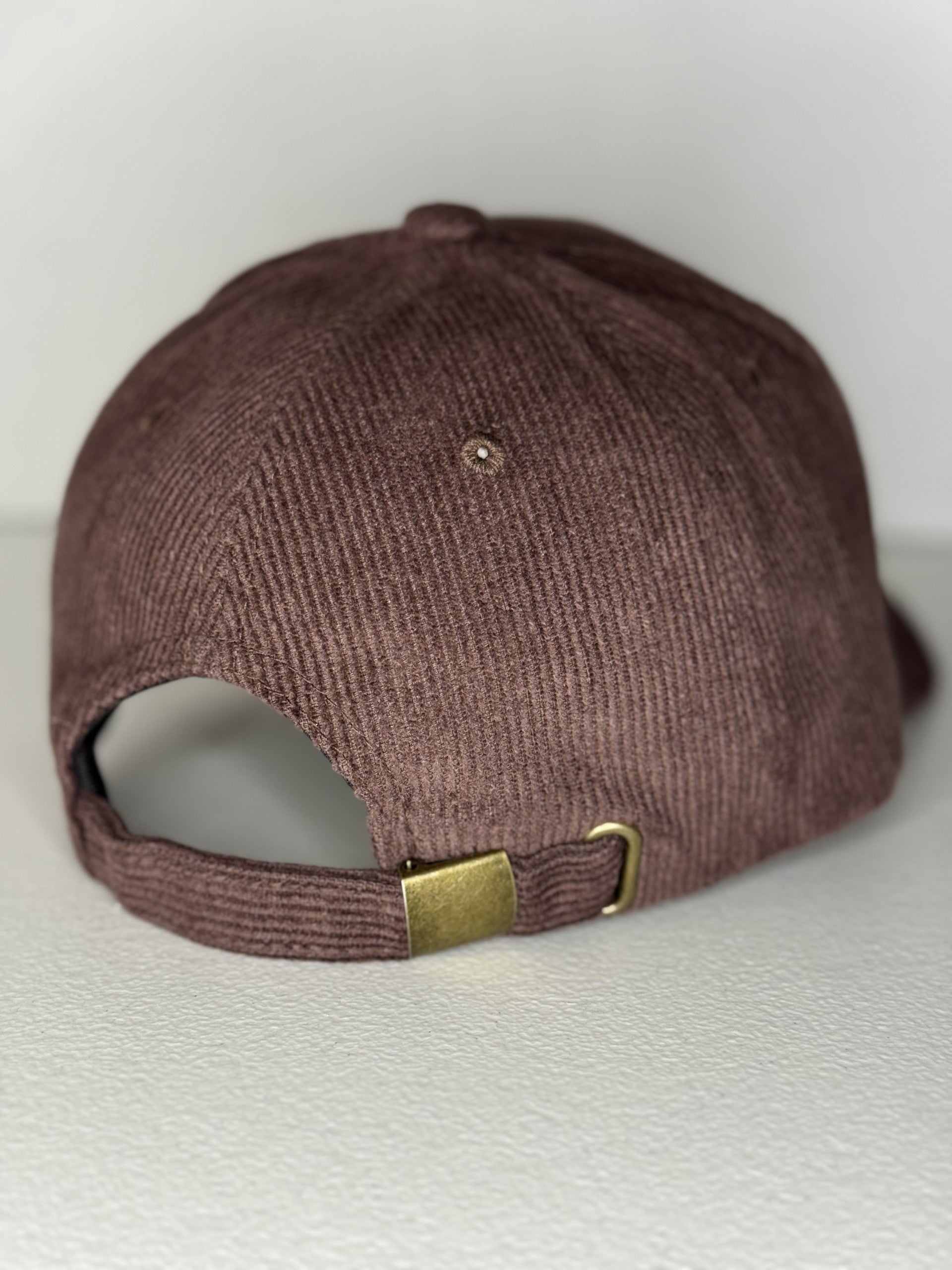 Corduroy 3D brown hat